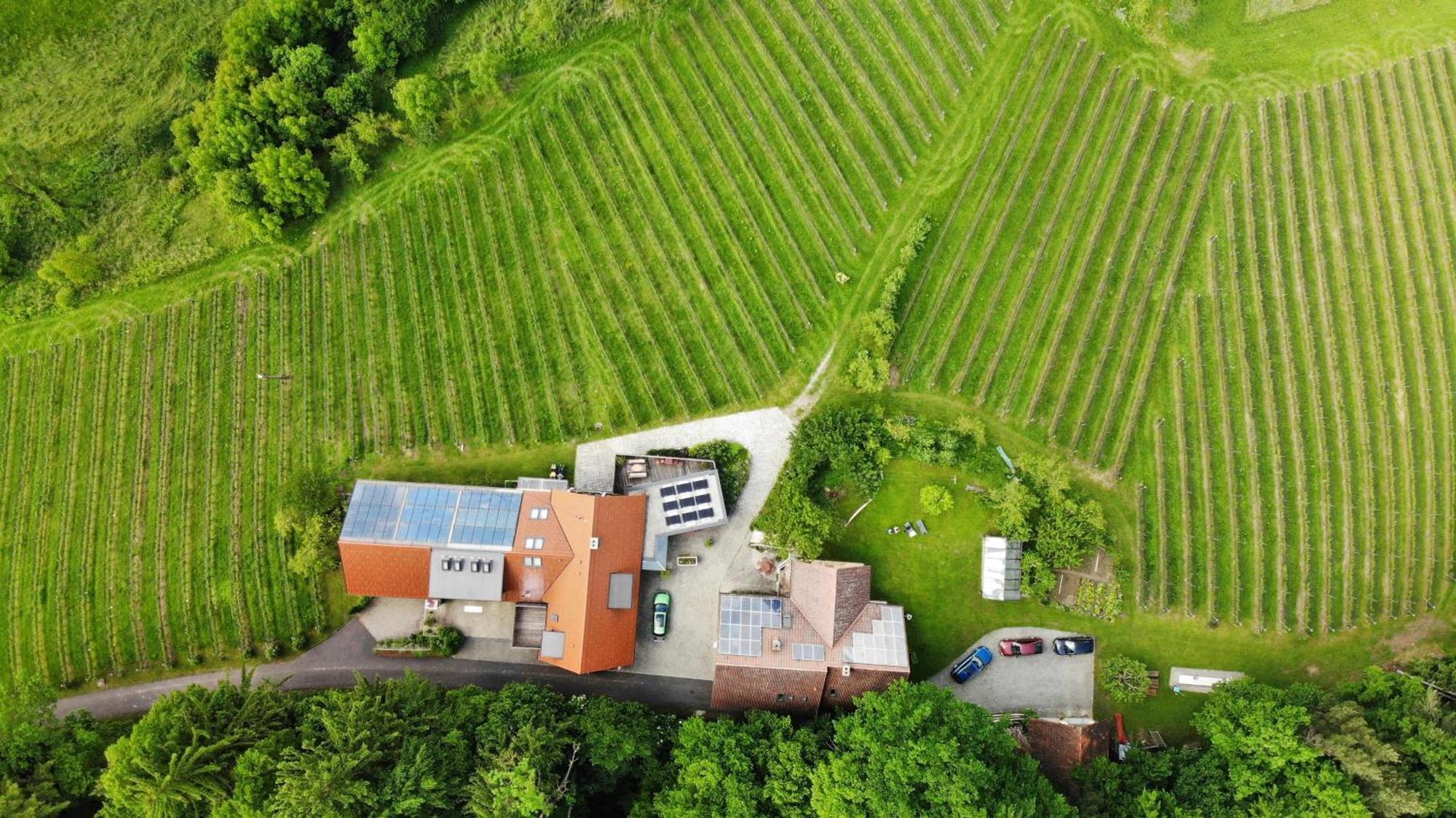 Weingut Spitzypeitler Bed & Breakfast Лейтшах Екстериор снимка